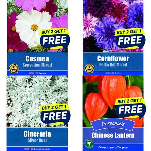 Flower seeds plants baskets - flower,
