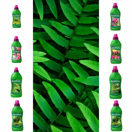 Plant food fertiliser green - food,