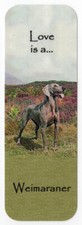 WEIMARANER BEAUTIFUL DOG BOOKMARK SAME IMAGE BOTH SIDES GREAT GIFT