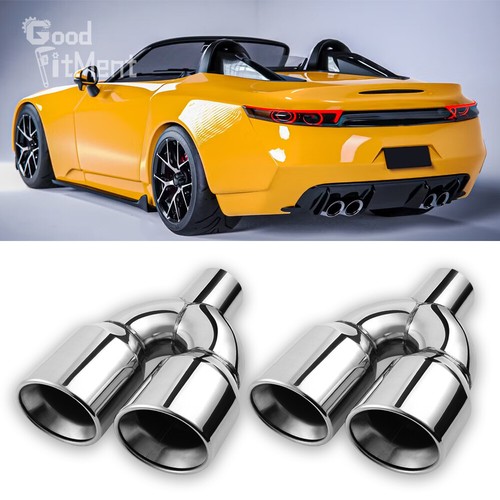 Dual exhaust pipe tip - dual,