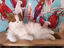 Furreal Cat Ginger White Lulu