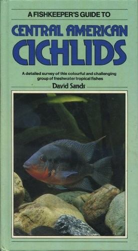Central american cichlids - cichlids,