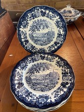 6 Royal Worcester Palissy Avon