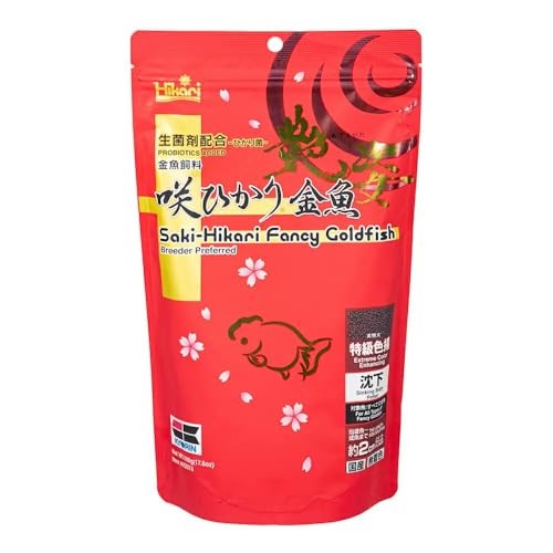 Saki hikari fancy goldfish - fancy,