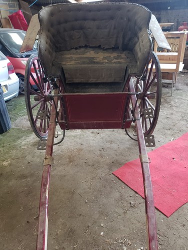Rare governess horse pony - governess,