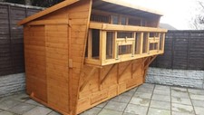 12 x 6 Pigeon Loft with Netted Box Front