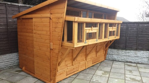 Pigeon loft with - 12,