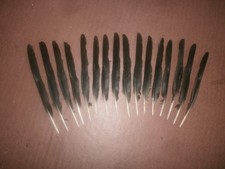 16 CARRION CROW LONG WING FEATHERS 7.5" - 8" arts crafts, fishing, goth, pets