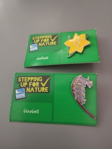 Rspb sufn daffodil and - sufn,