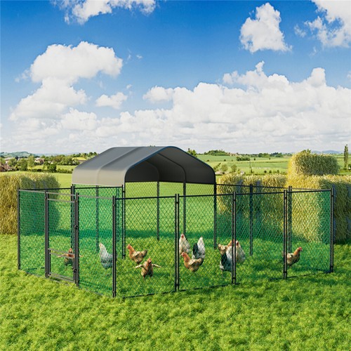 Jumb outdoor metal chicken - metal,