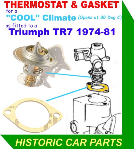 Thermostat gasket cool - gasket,