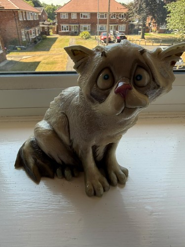 Pets with personality cat - pets,