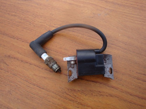 Genuine briggs stratton - briggs, 300