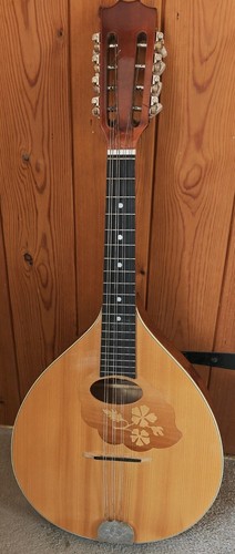 Ozark mandolin string - mandolin, 8-string