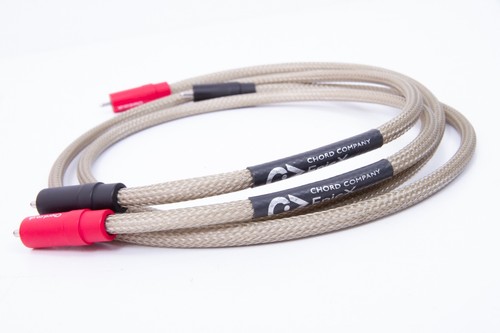 Chord epic aray - chord, rca