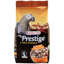 Prestige Premium African Grey