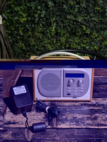 Pure evoke portable radio - xt,