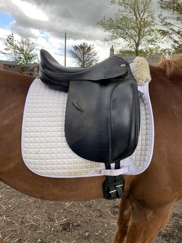 Sue carson dressage saddle - sue,