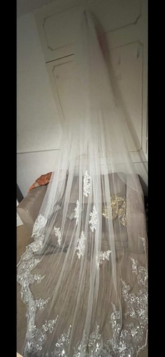 Ivory cathedral wedding - wedding, veil
