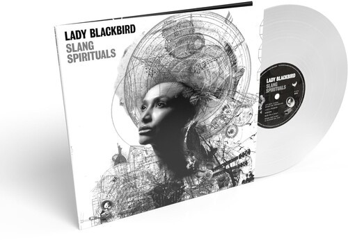 Lady blackbird slang - blackbird,