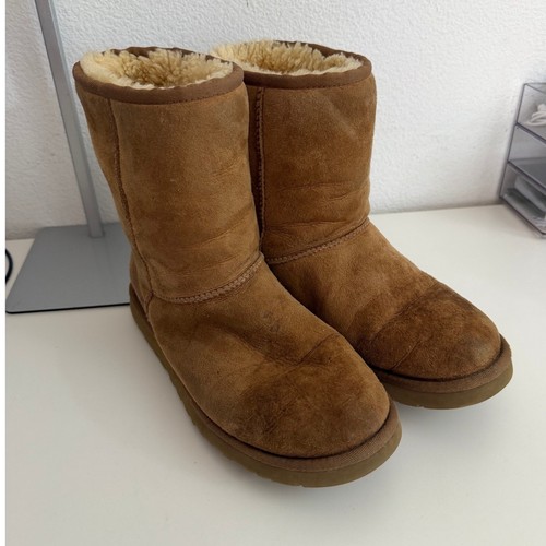 Ugg australia classic - australia, short