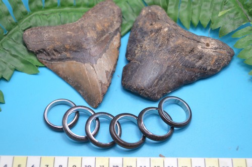 Amazing rings made from 100 - amazing, 100%