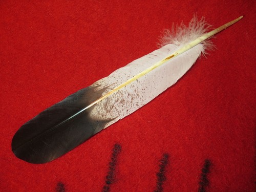 Native american made - native,