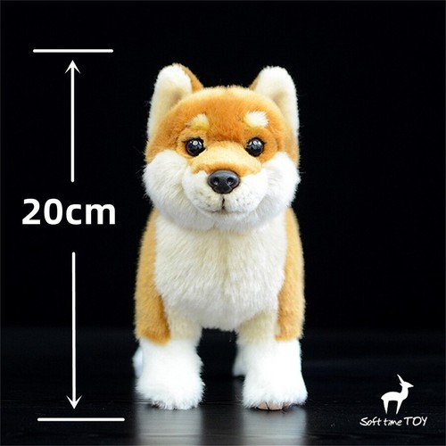 Simulation japanese akita dog - simulation,
