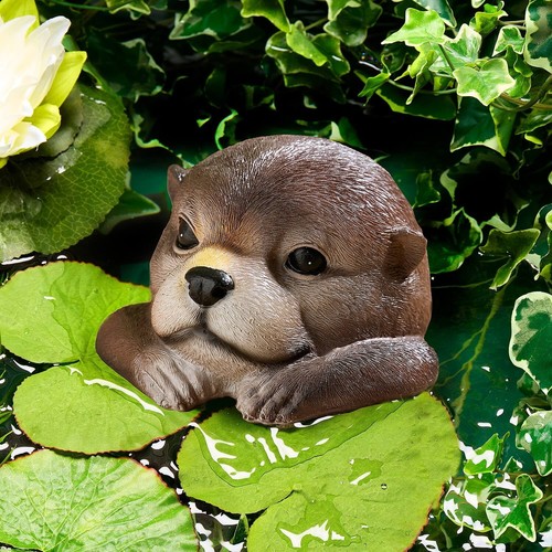 Floating otter pond - otter,