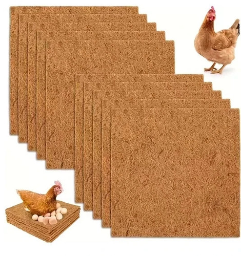 Pack chicken nest box - chicken,