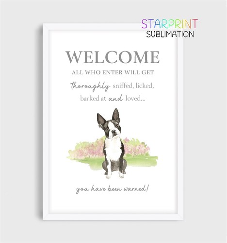 Boston terrier welcome - boston,