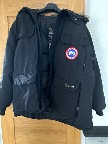 Iconic canada goose - iconic,