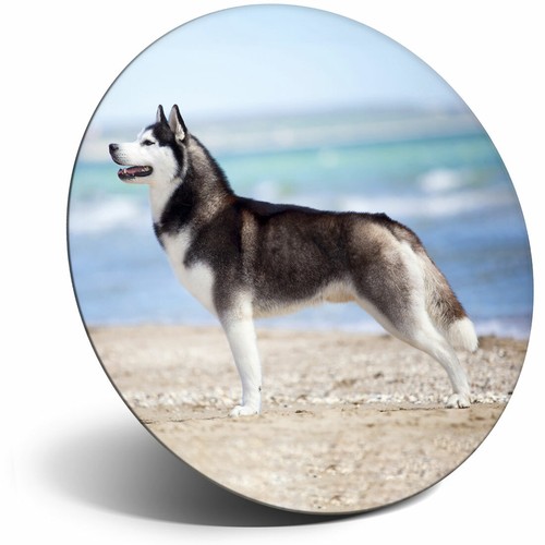 Awesome fridge magnet - fridge,