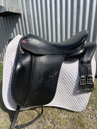 Albion legend dressage - albion, k2