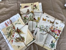 Bundle 40 Nature book pages
