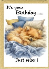 Pomeranian Dog Birthday Card