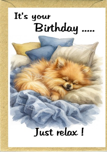 Pomeranian dog birthday - dog, card