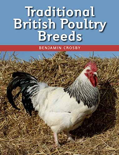 Traditional british poultry - traditional,