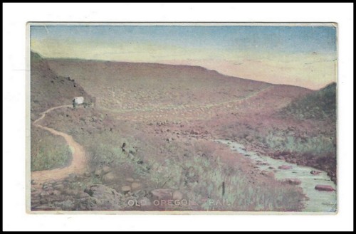 Vintage 5 post card - 3.5, x5.5