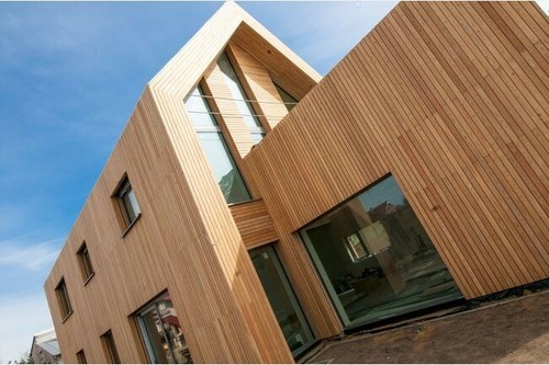 Siberian larch cladding - siberian,