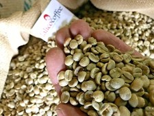Brazil Santos Stockler Green/Raw 100% Arabica Coffee Beans For Home Roasting