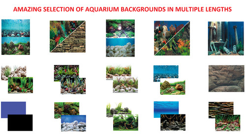 Seaview quality aquarium fish - aquarium,