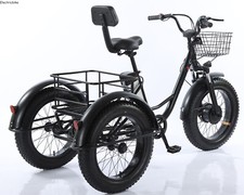 48V Electric Tricycle 140kg