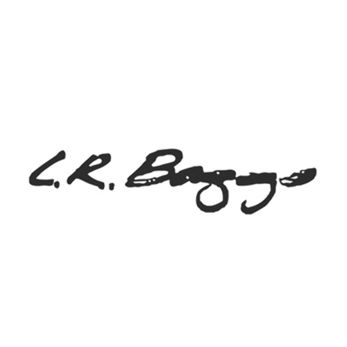 Baggs strap jack cable - baggs,