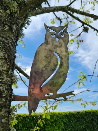 Metal owl bird silhouette bare - silhouette,