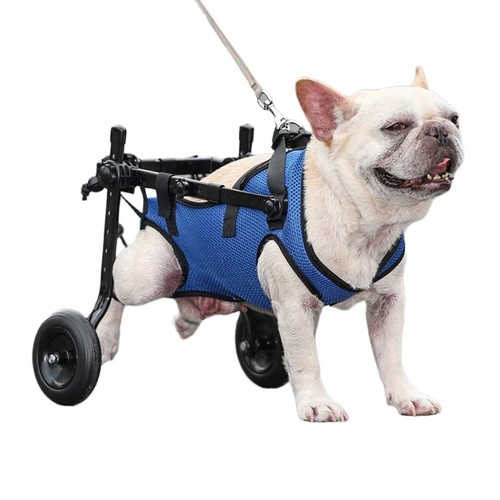 Dog wheelchair for - dog, back