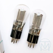 2x Telefunken RGN1064 (=Klangfilm 74303 1805) 1930s Globe Bulbs, Big Mesh Plates