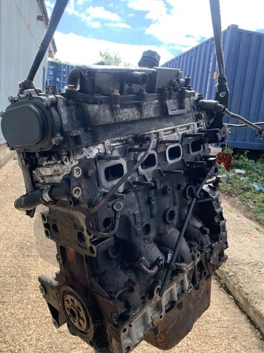 Iveco daily engine - iveco,