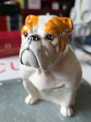Royal doulton british - doulton, bulldog