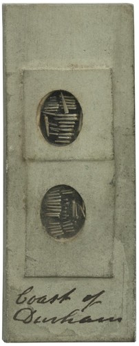 Antique microscope slide - , by